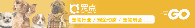 宠点网