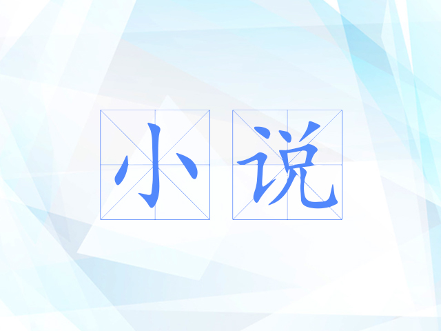 小说